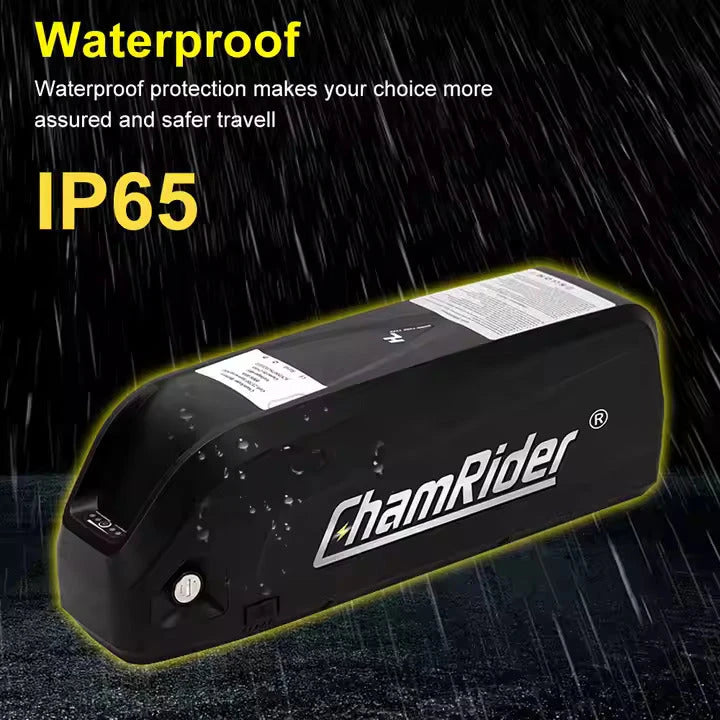 Ebike Battery