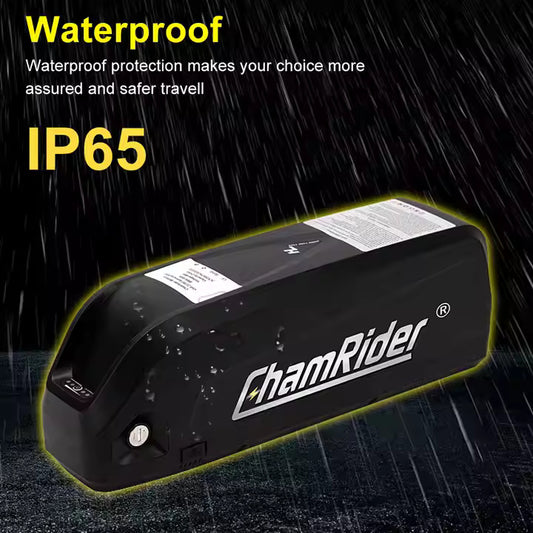 ChamRider E-Bike Battery 48V 20AH